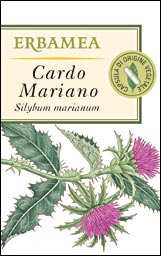 CARDO MARIANO  CAPSULE